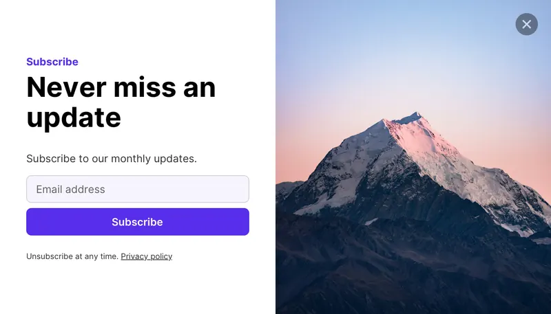 Wireframe - modal horizontal signup template preview