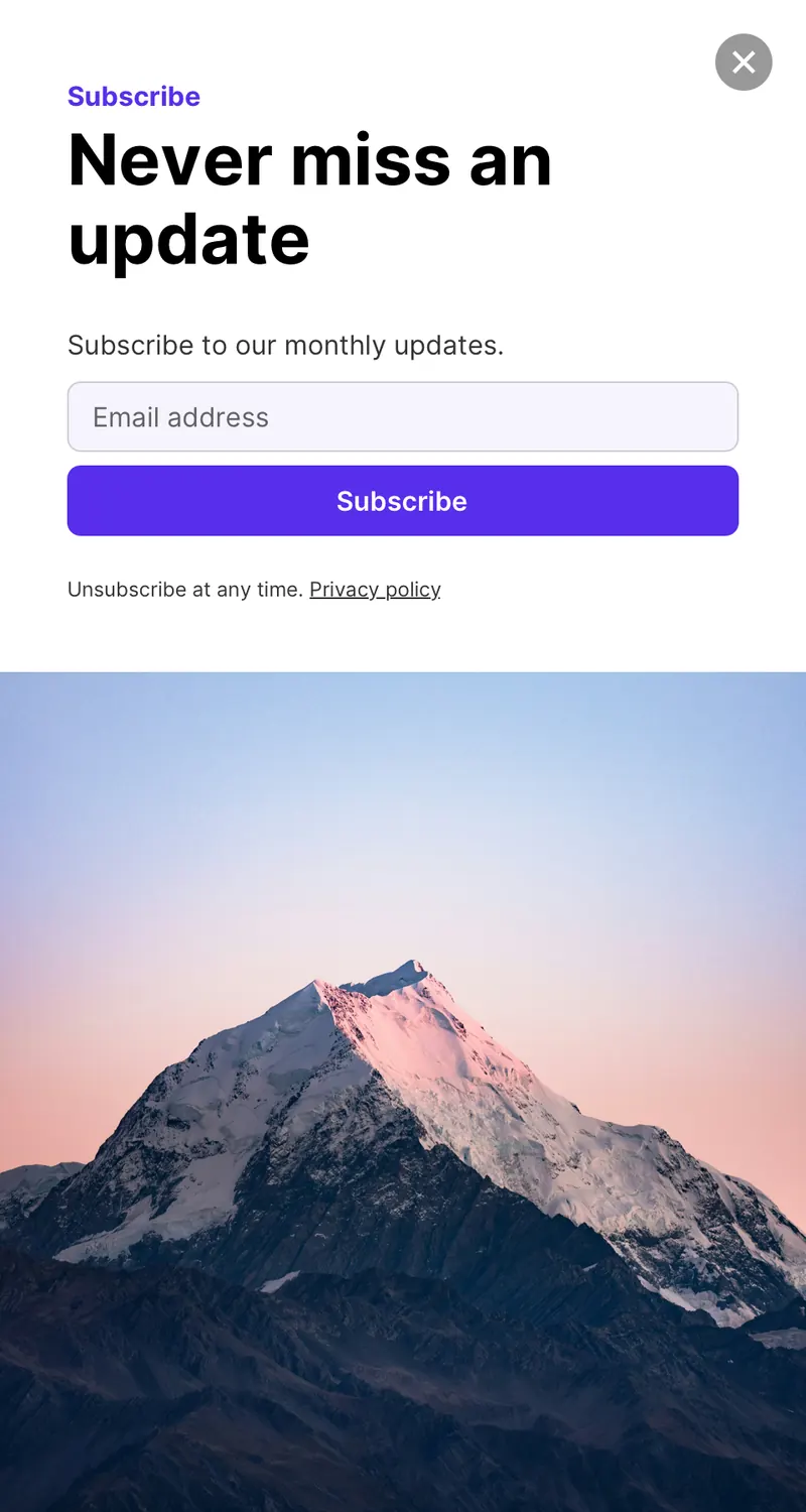 Wireframe - panel vertical subscribe image bottom template preview
