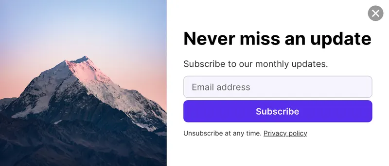 Wireframe - slidein subscribe horizontal 2col image left template preview